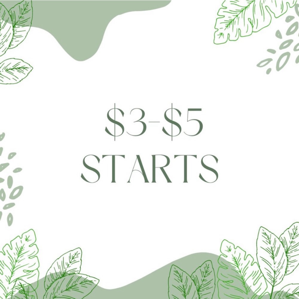 Mikis Bundle $37